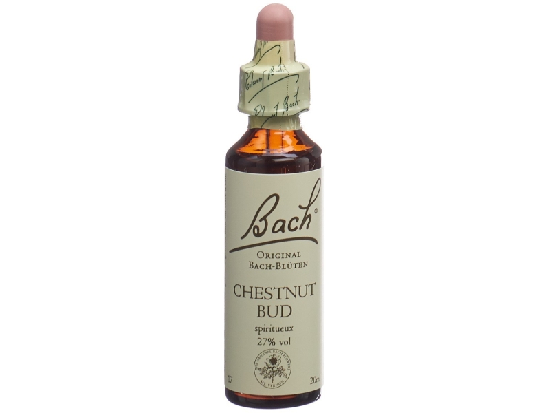 BACH-BLÜTEN Original Chestnut Bud No07 20 ml