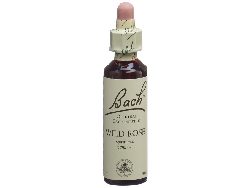 BACH-BLÜTEN Original Wild Rose No37 20 ml